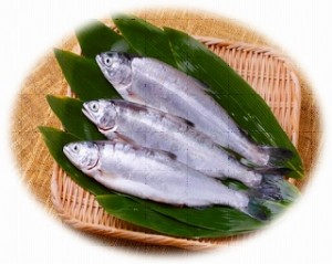 十和田湖ひめます 十和田湖ひめます 十和田湖ブランド 十和田湖ひめますなら 十和田湖増殖漁業協同組合
